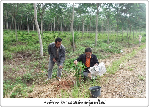 โครงการปลูกต้นไม้เฉลิมพระเกียรติเนื่องในโอกาสวันเฉลิมพระชนมพรรษาสมเด็จพระนางเจ้าสิริกิติ์พระบรมราชินีนาถ