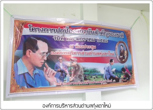 โครงการปกป้องสถาบันสำคัญของชาติ 